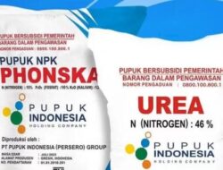 Pemerintah Tetapkan Alokasi Pupuk Bersubsidi 9,5 Juta Ton untuk 2026, Anggaran Capai Rp46 Triliun