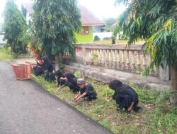 Siswa Kelas II SD Negeri 256 Kajang-Kajang Tumbuhkan Kepedulian Lingkungan Sejak Dini