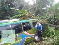 Bus Mitsubishi Terjun ke Jurang di Trans Flores, Seluruh Penumpang Selamat