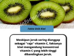 Kiwi vs Jeruk: Siapa Jawara Vitamin C? Ini Kata Ahli dan Riset Ilmiah