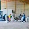 Pabrik Porang di Reo Disorot, Warga Tagih Janji DLH Manggarai Terbitkan Rekomendasi Lingkungan