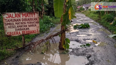 Jeritan dari Kubangan Saat Warga Desa Baru Menanam Pisang di Jantung Jalan yang Mati