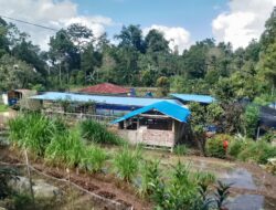 Kampung Wisata Cilallang di Bulukumba Tawarkan Wisata Alam dan Edukasi Budidaya Ikan