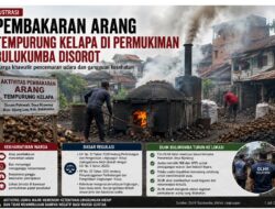 Aktivis Pemerhati Lingkungan Soroti Aktivitas Pembakaran Arang di Bijawang Bulukumba, DLHK Turun ke Lokasi
